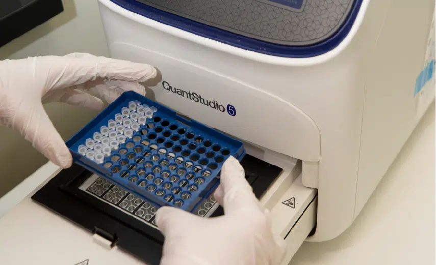 Reproart _Genomics-Genetics Laboratory