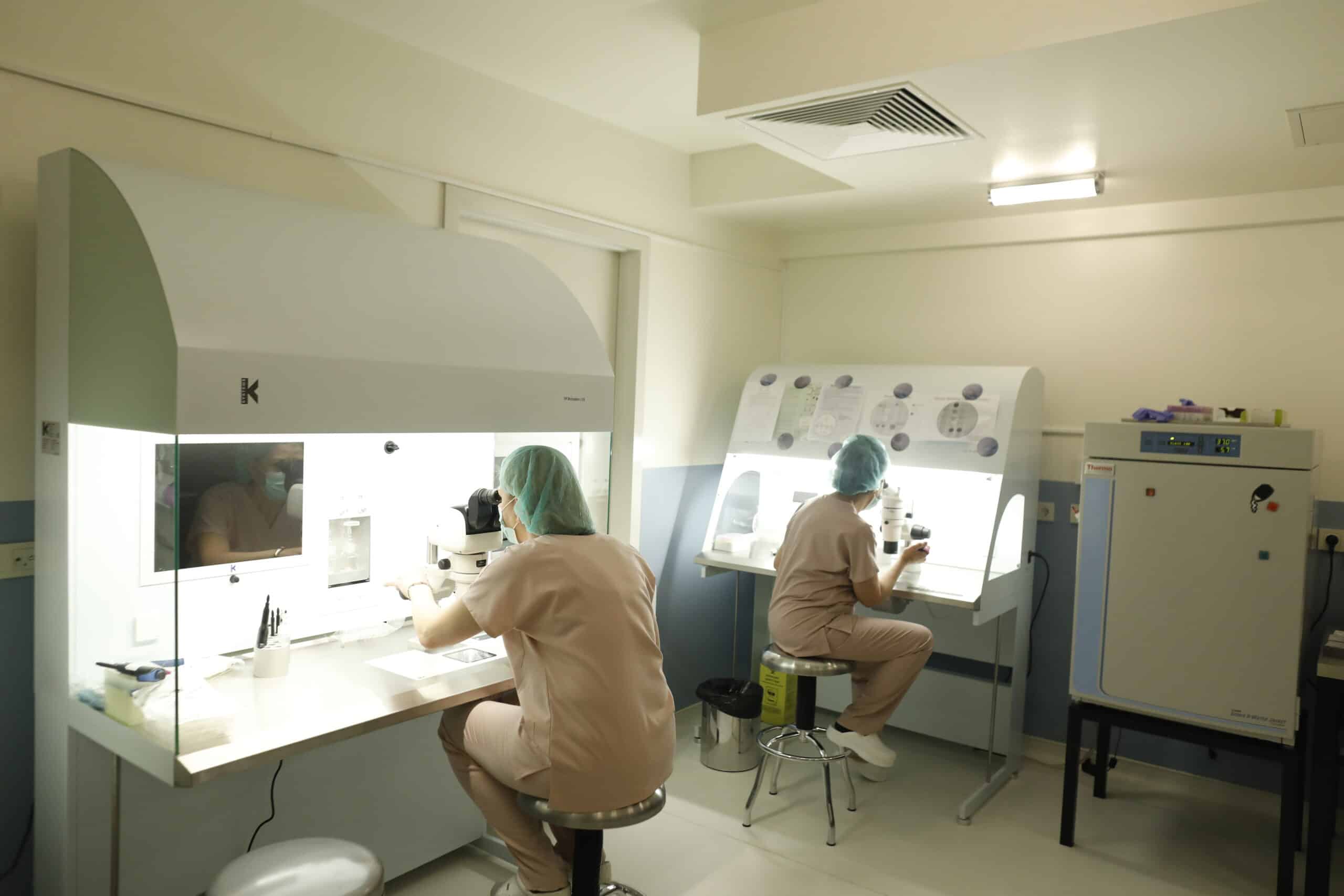 Embriology Lab